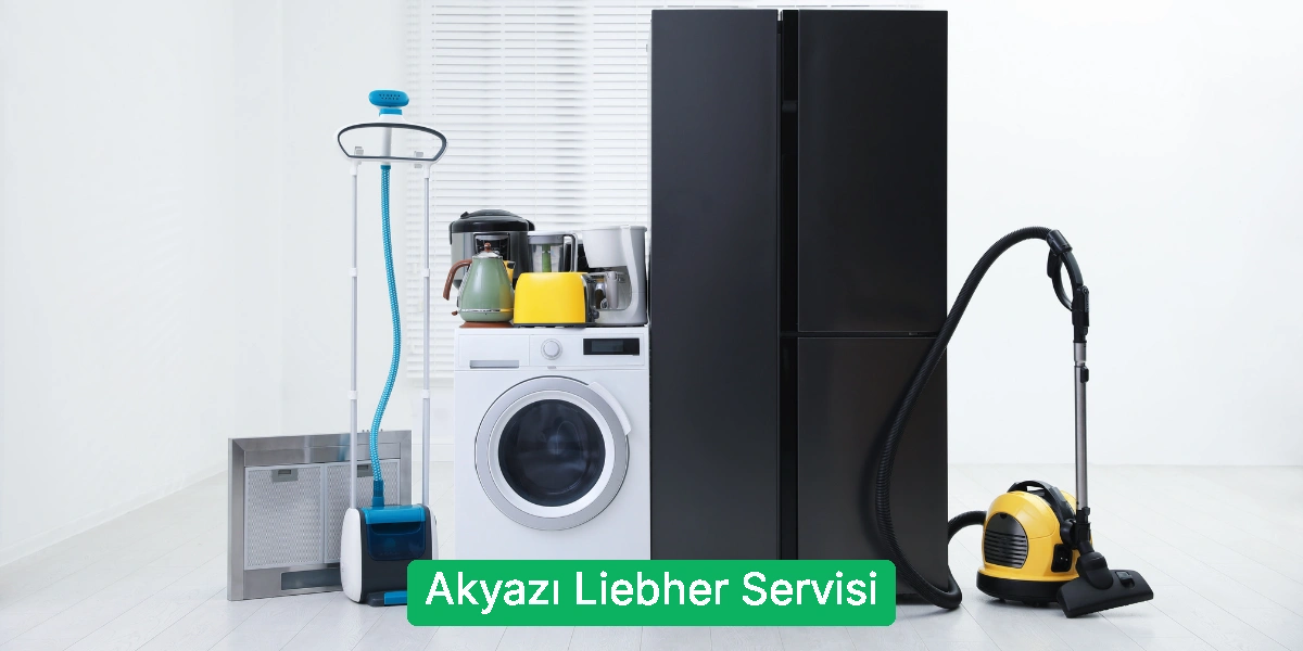Akyazı Liebher Servisi