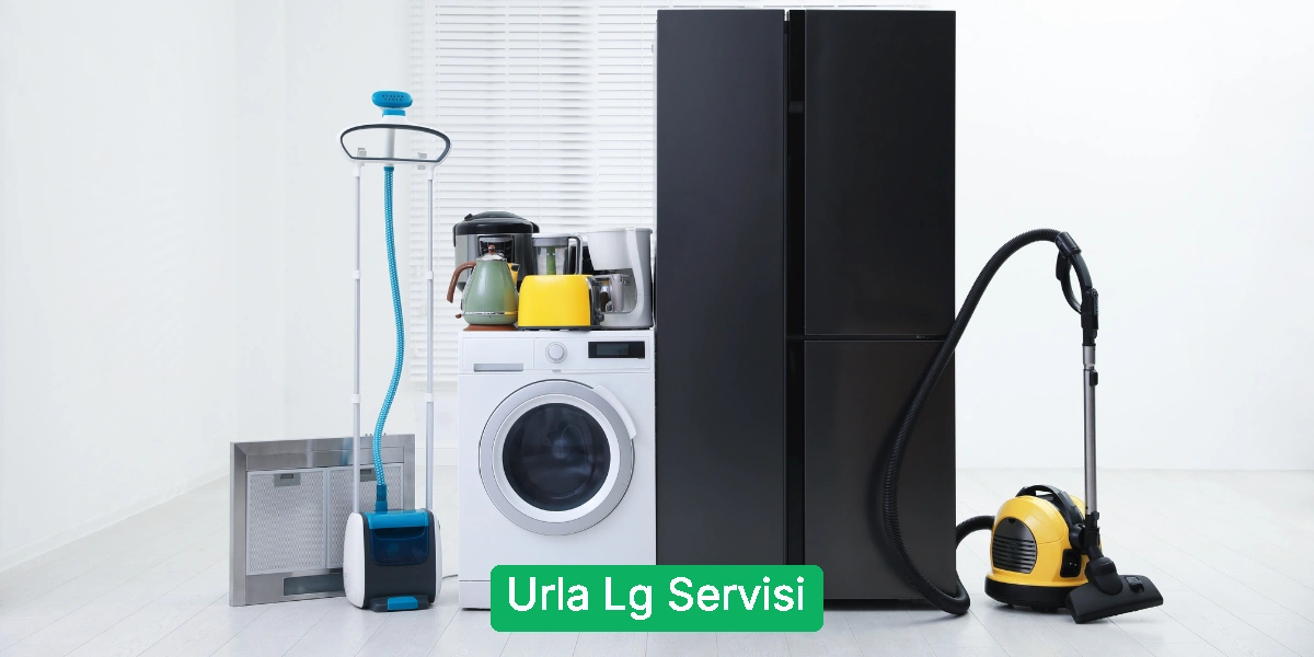 Urla Lg Servisi