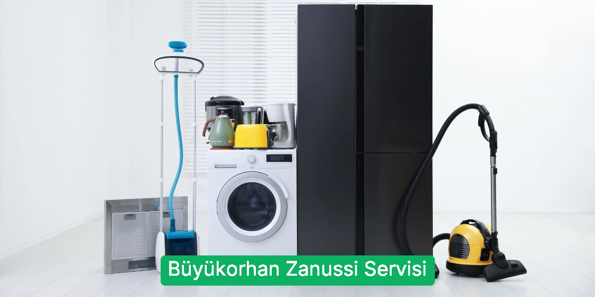 Büyükorhan Zanussi Servisi