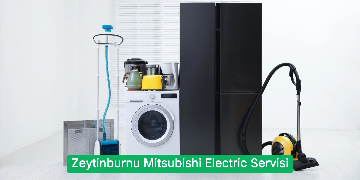 Zeytinburnu Mitsubishi Electric Servisi