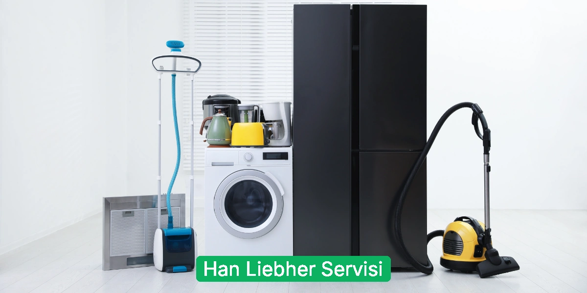 Han Liebher Servisi