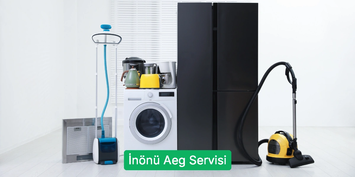 İnönü Aeg Servisi