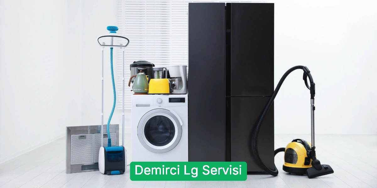 Demirci Lg Servisi