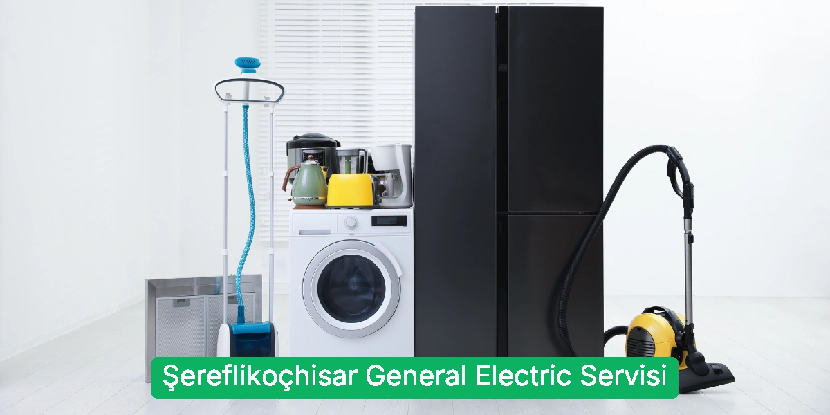 Şereflikoçhisar General Electric Servisi