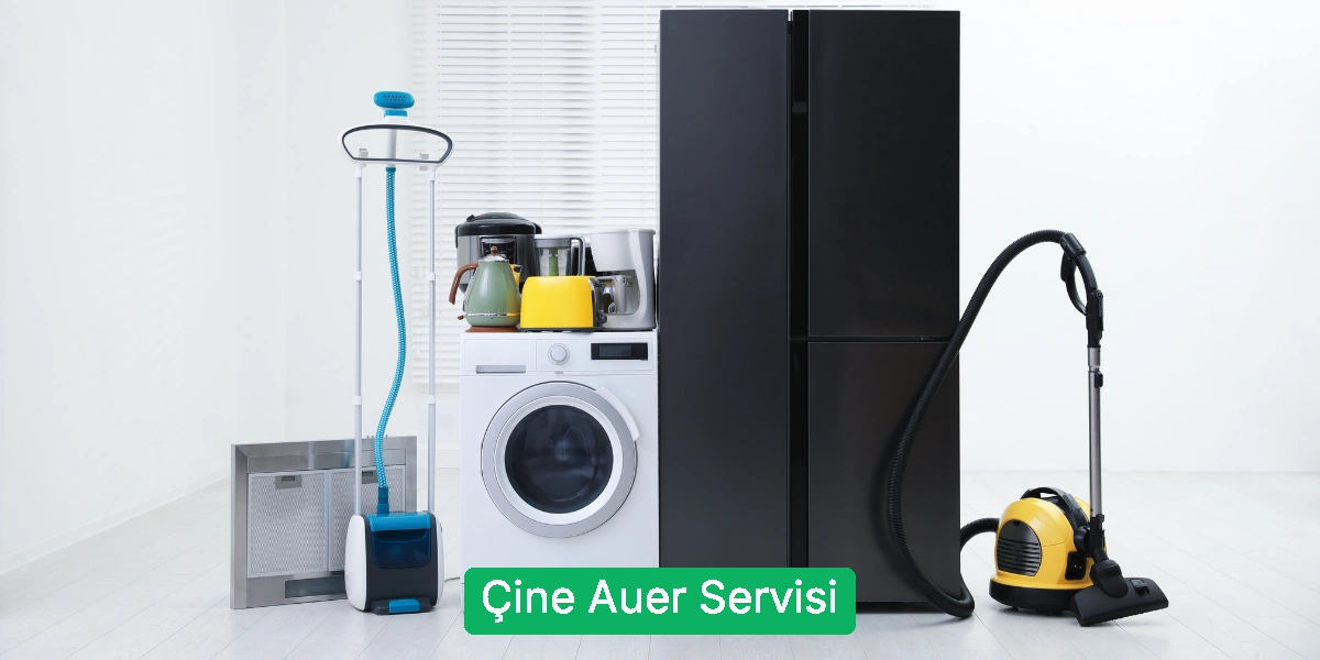 Çine Auer Servisi