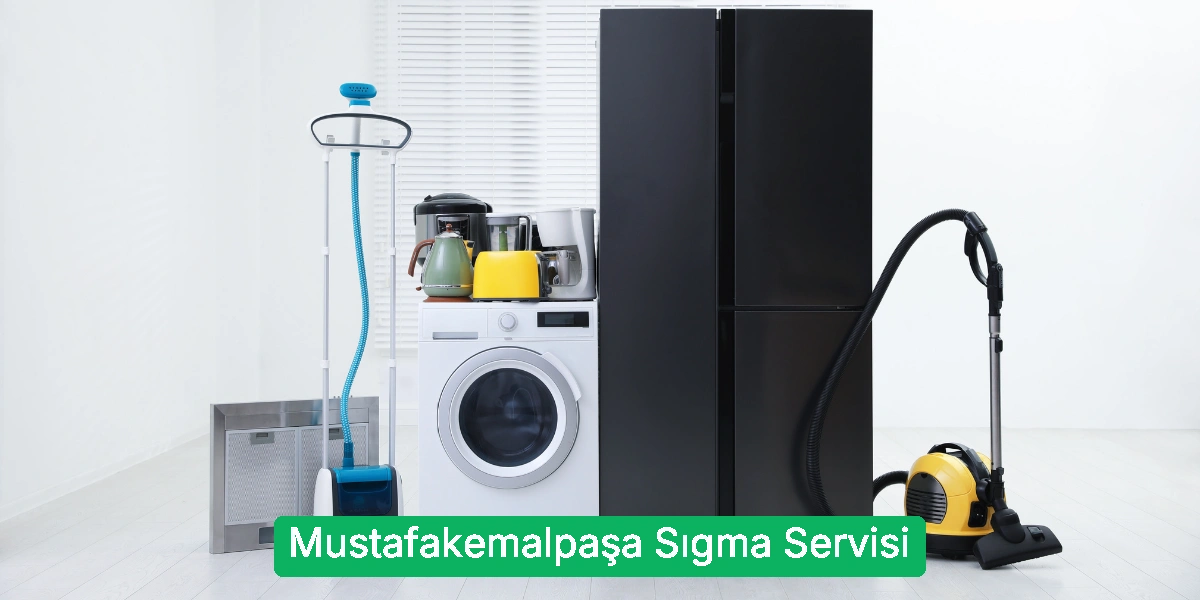 Mustafakemalpaşa Sıgma Servisi