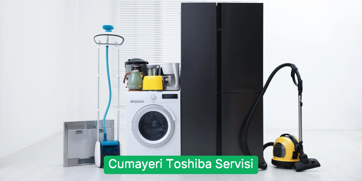 Cumayeri Toshiba Servisi