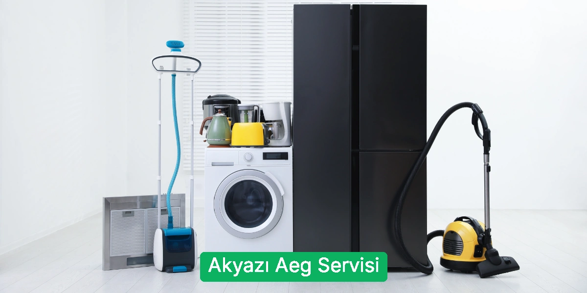 Akyazı Aeg Servisi