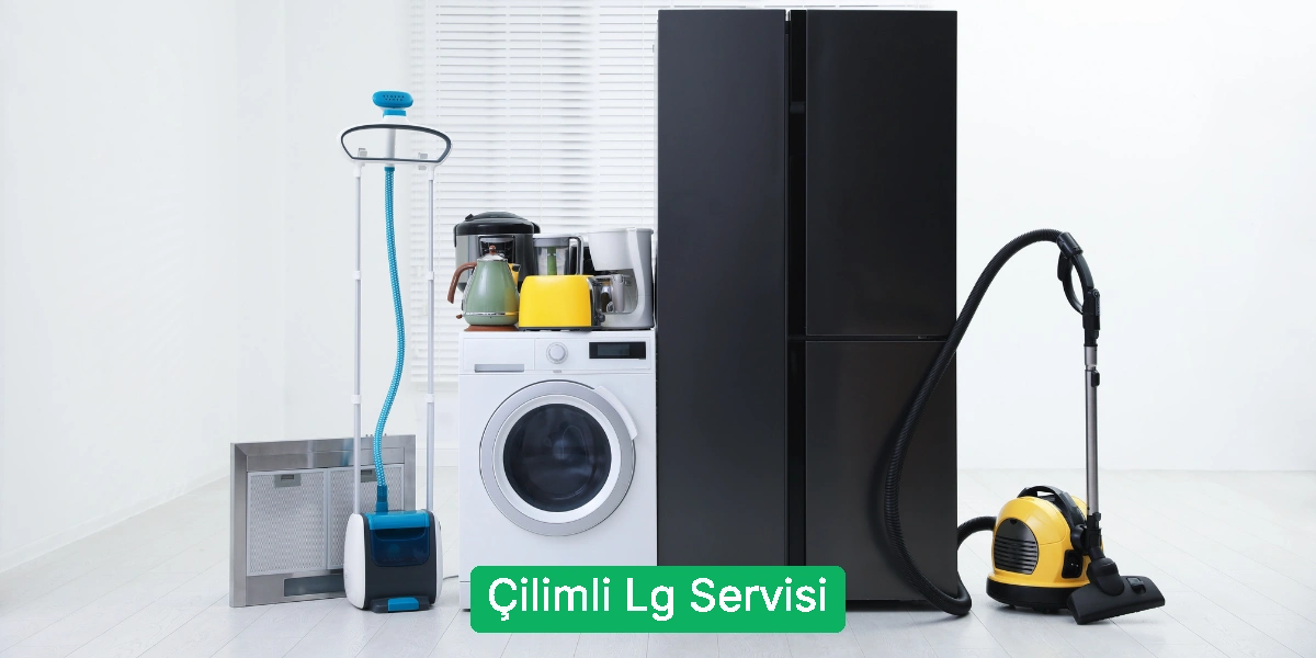 Çilimli Lg Servisi