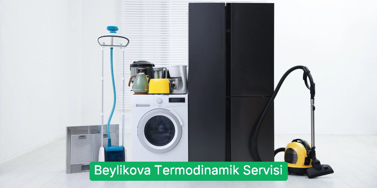 Beylikova Termodinamik Servisi