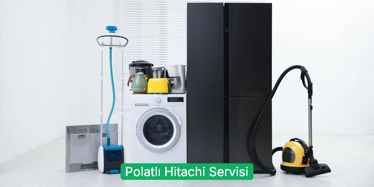 Polatlı Hitachi Servisi