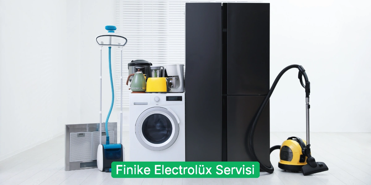 Finike Electrolüx Servisi