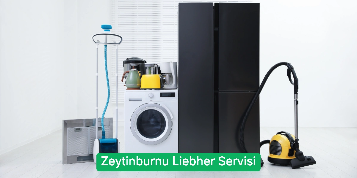 Zeytinburnu Liebher Servisi