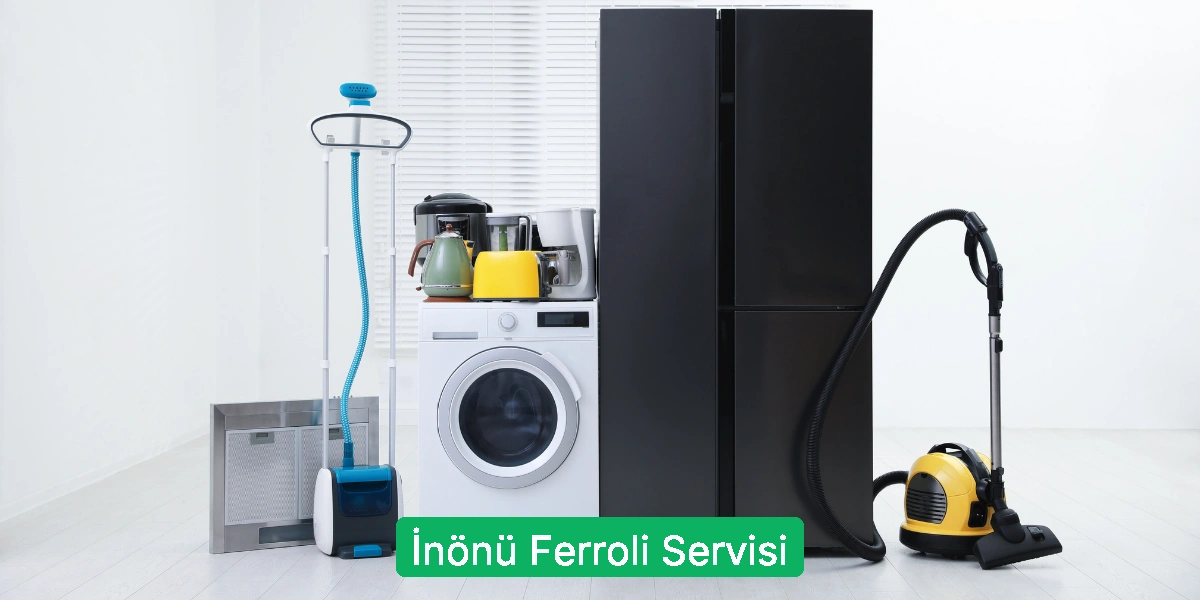 İnönü Ferroli Servisi