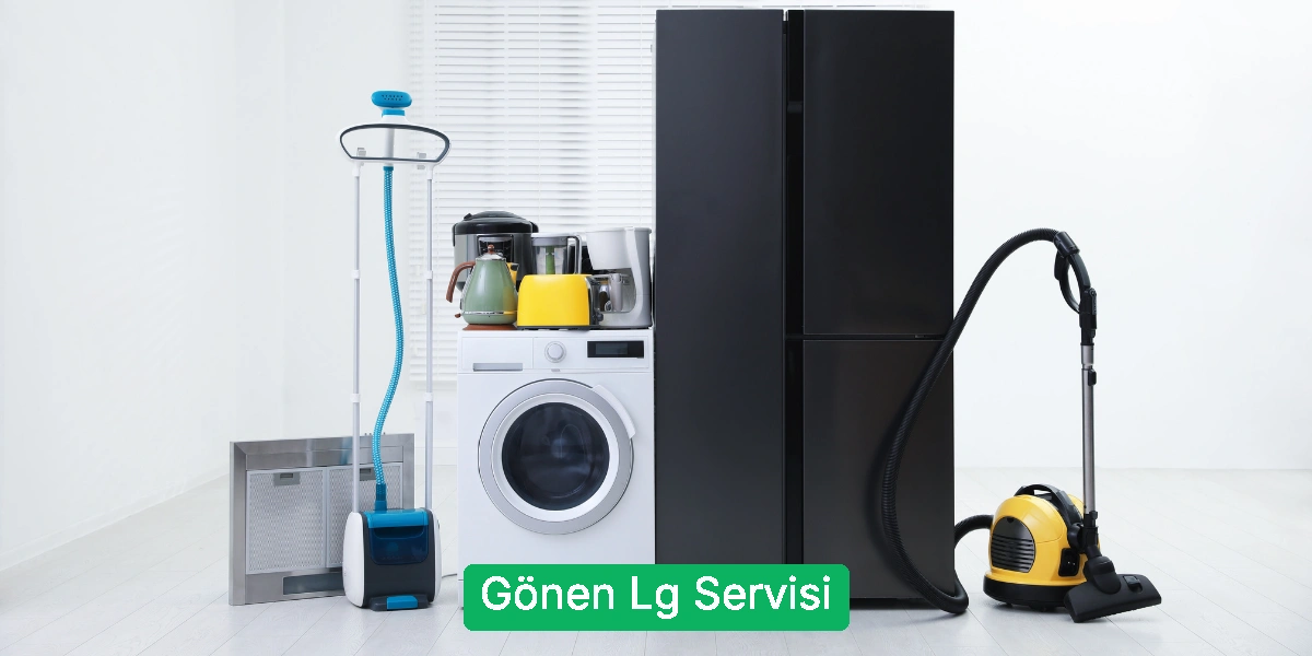 Gönen Lg Servisi