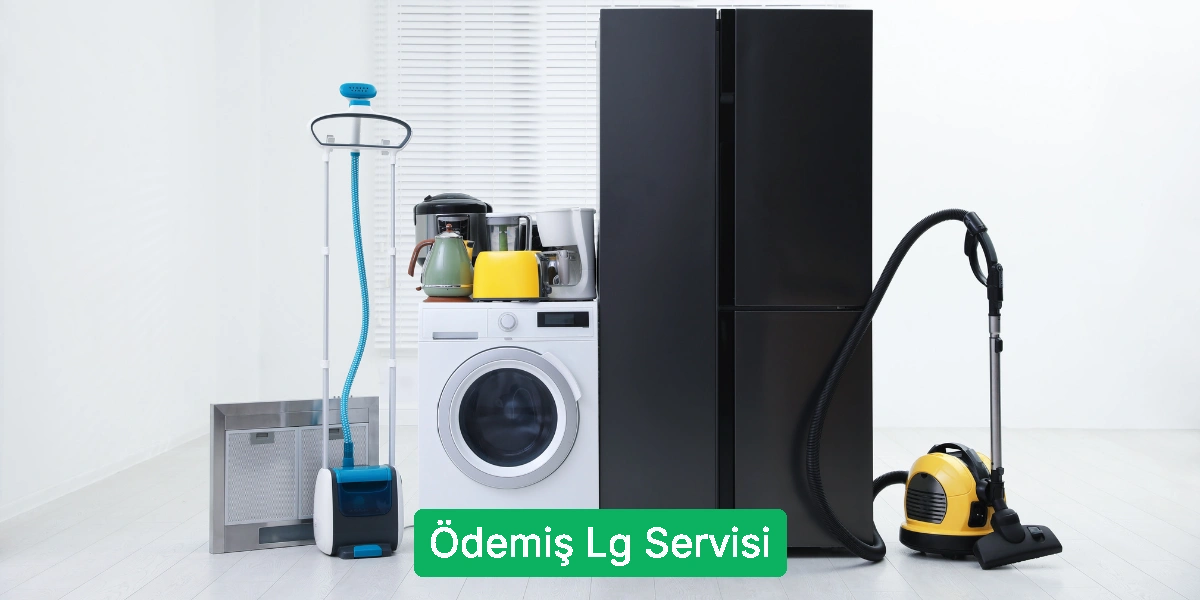 Ödemiş Lg Servisi