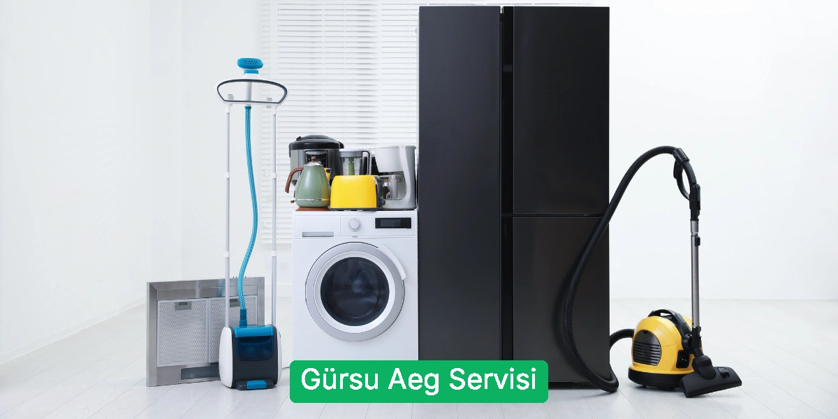 Gürsu Aeg Servisi