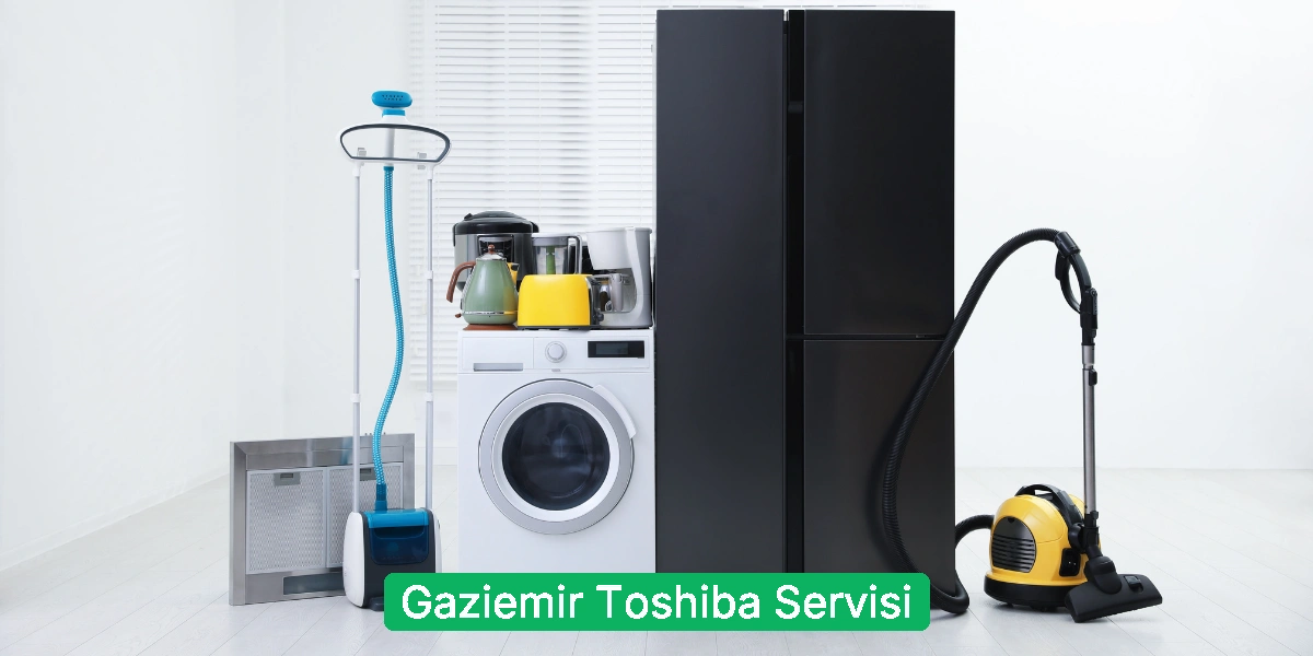 Gaziemir Toshiba Servisi