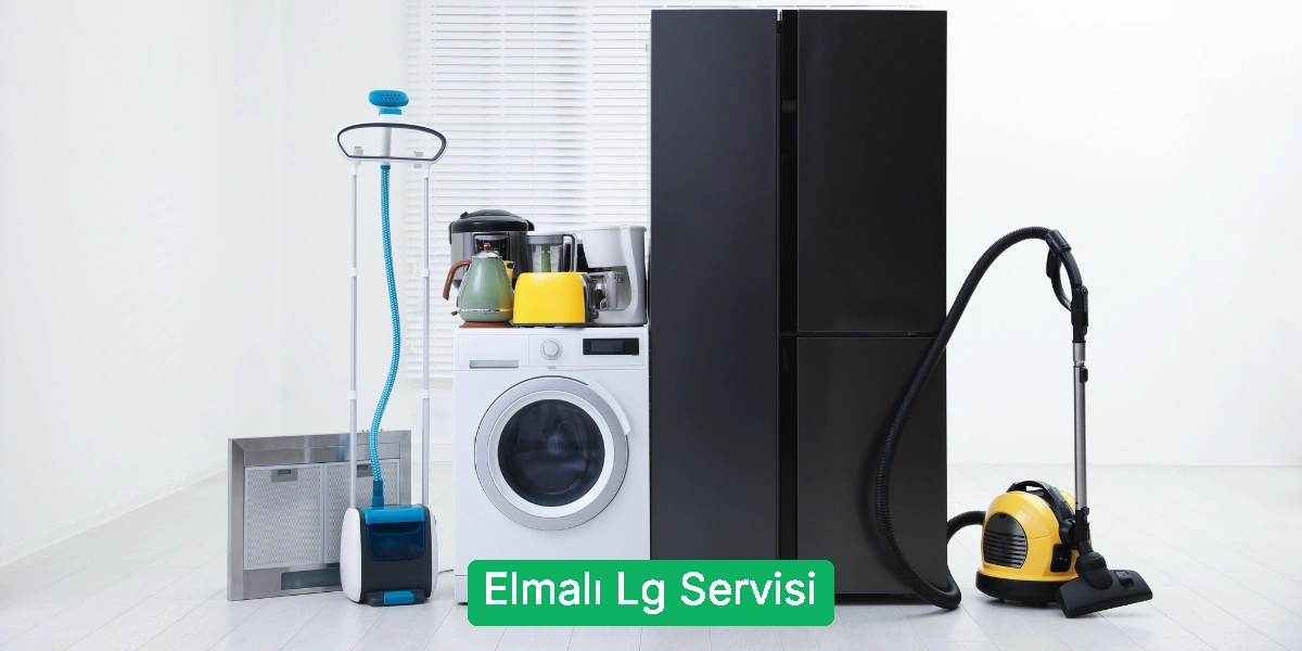 Elmalı Lg Servisi