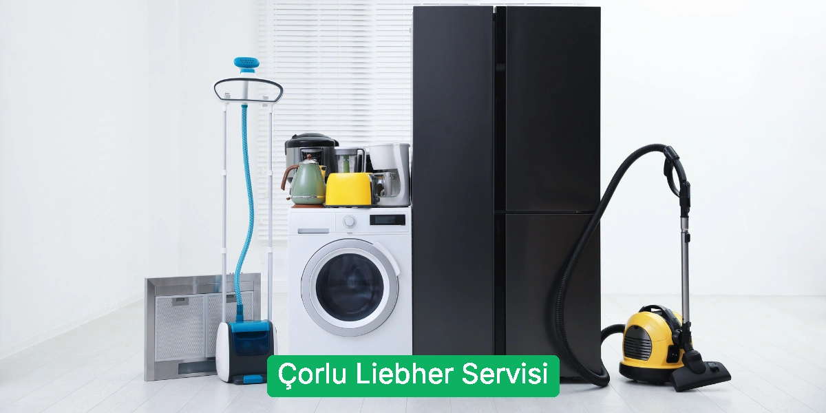 Çorlu Liebher Servisi