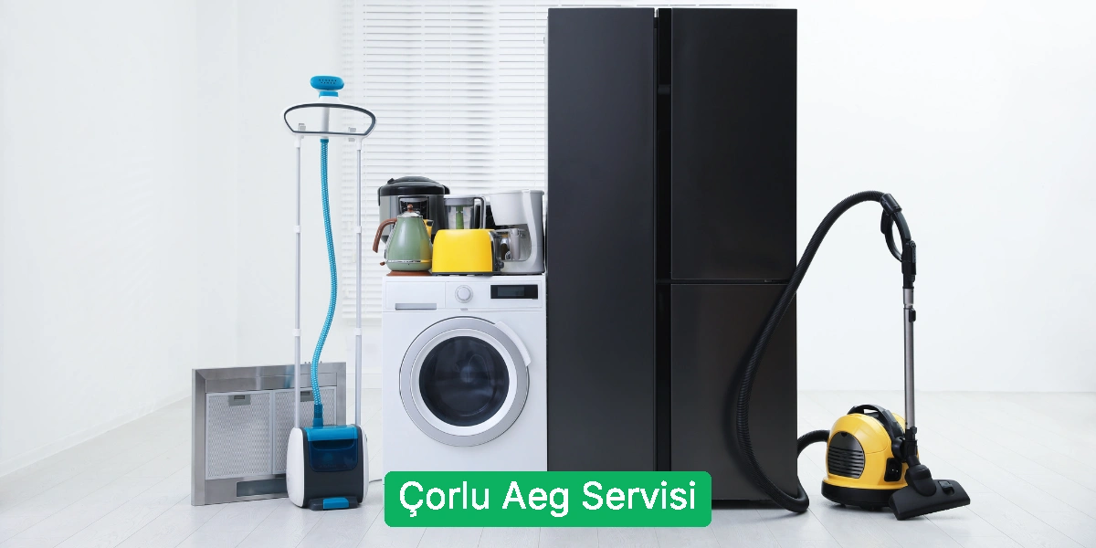 Çorlu Aeg Servisi