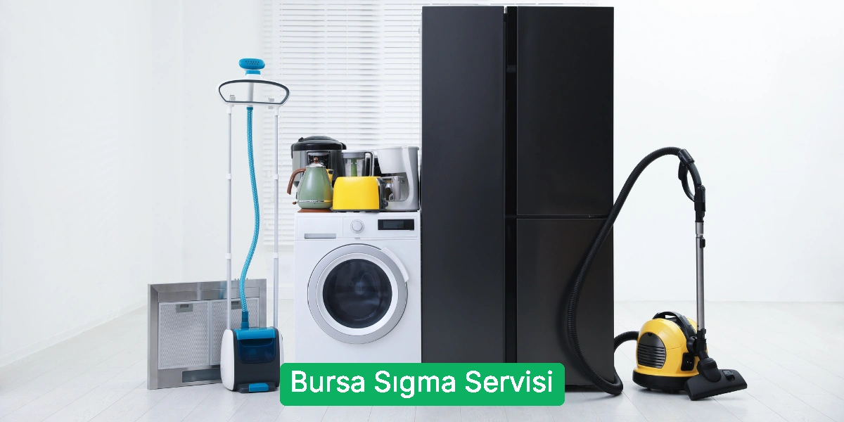 Bursa Sıgma Servisi