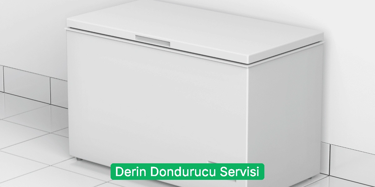 Derin Dondurucu Servisi