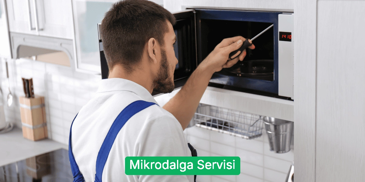 Mikrodalga Servisi